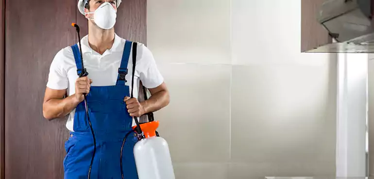 Why Colorado Springs Homeowners Choose Us When Pests Make Selling Difficult